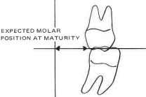 Manual Illustration